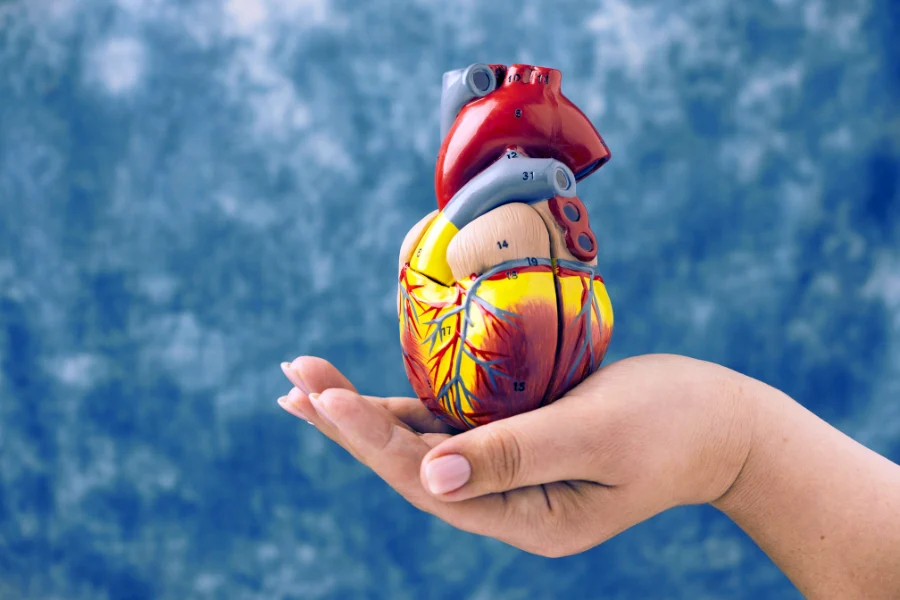 kardiologichnyj-chek-ap-pislya-40-rokiv-kyyiv-5